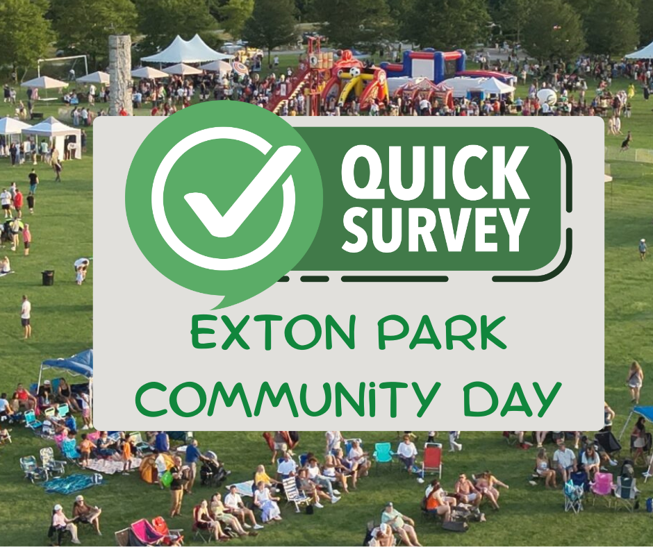 Exton Park Comm Day Survey