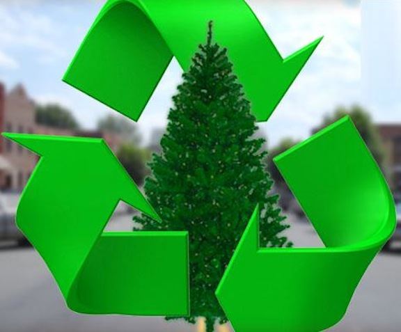 Christmas-Tree-Recycling-7